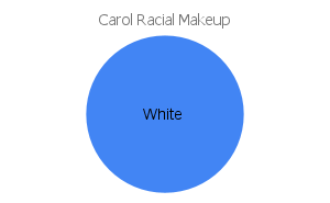 'carol' racial makeup chart