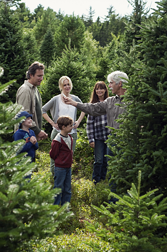 'november christmas' movie clip